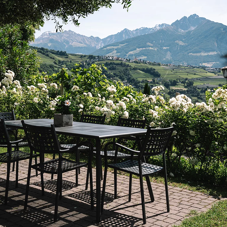 Gartenanlage & Pool